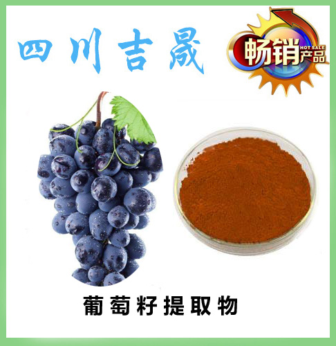 环球国际·(中国)集团有限公司