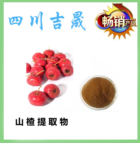 环球国际·(中国)集团有限公司